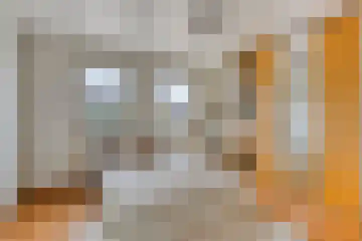 De Stoutheuvel 150 Eindhoven thumbnail 19