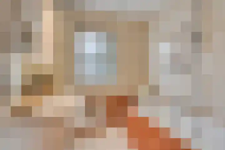 De Stoutheuvel 150 Eindhoven thumbnail 22