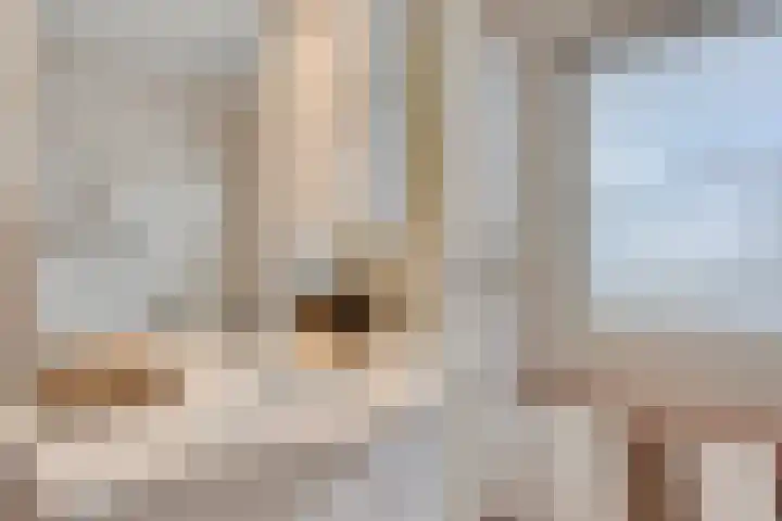 De Stoutheuvel 150 Eindhoven thumbnail 23