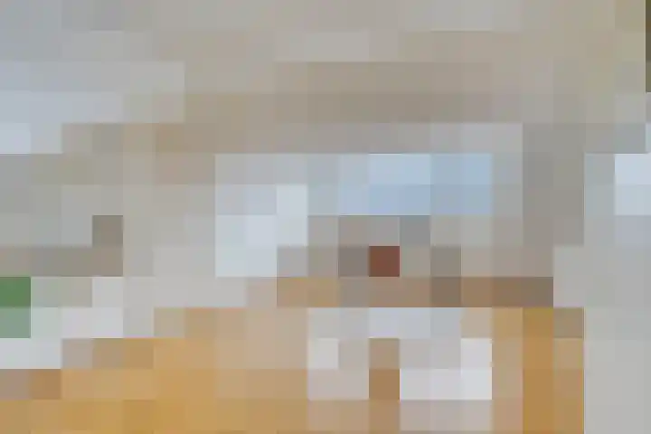 De Stoutheuvel 150 Eindhoven thumbnail 26