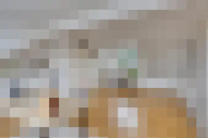 De Stoutheuvel 150 Eindhoven thumbnail 28
