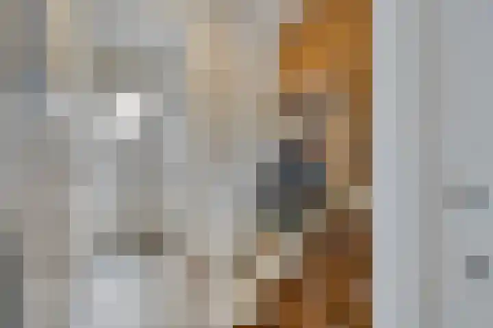 De Stoutheuvel 150 Eindhoven thumbnail 6