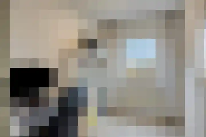 De Stoutheuvel 162 Eindhoven thumbnail 16