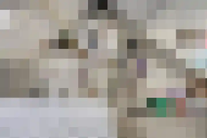 De Stoutheuvel 162 Eindhoven thumbnail 20