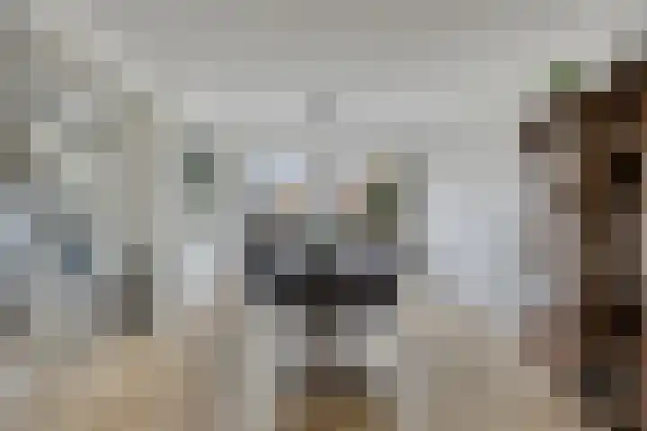 De Stoutheuvel 162 Eindhoven thumbnail 4
