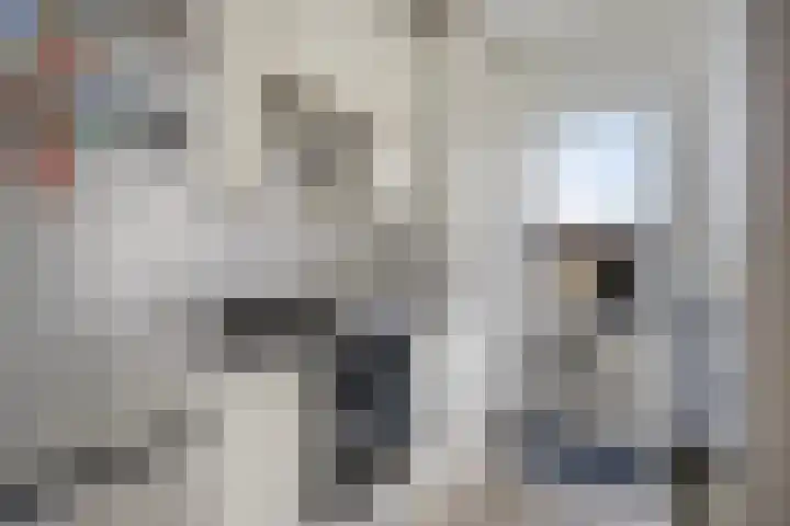 De Stoutheuvel 162 Eindhoven thumbnail 7