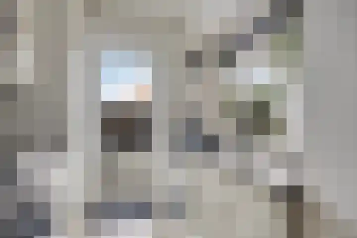 De Stoutheuvel 162 Eindhoven thumbnail 8