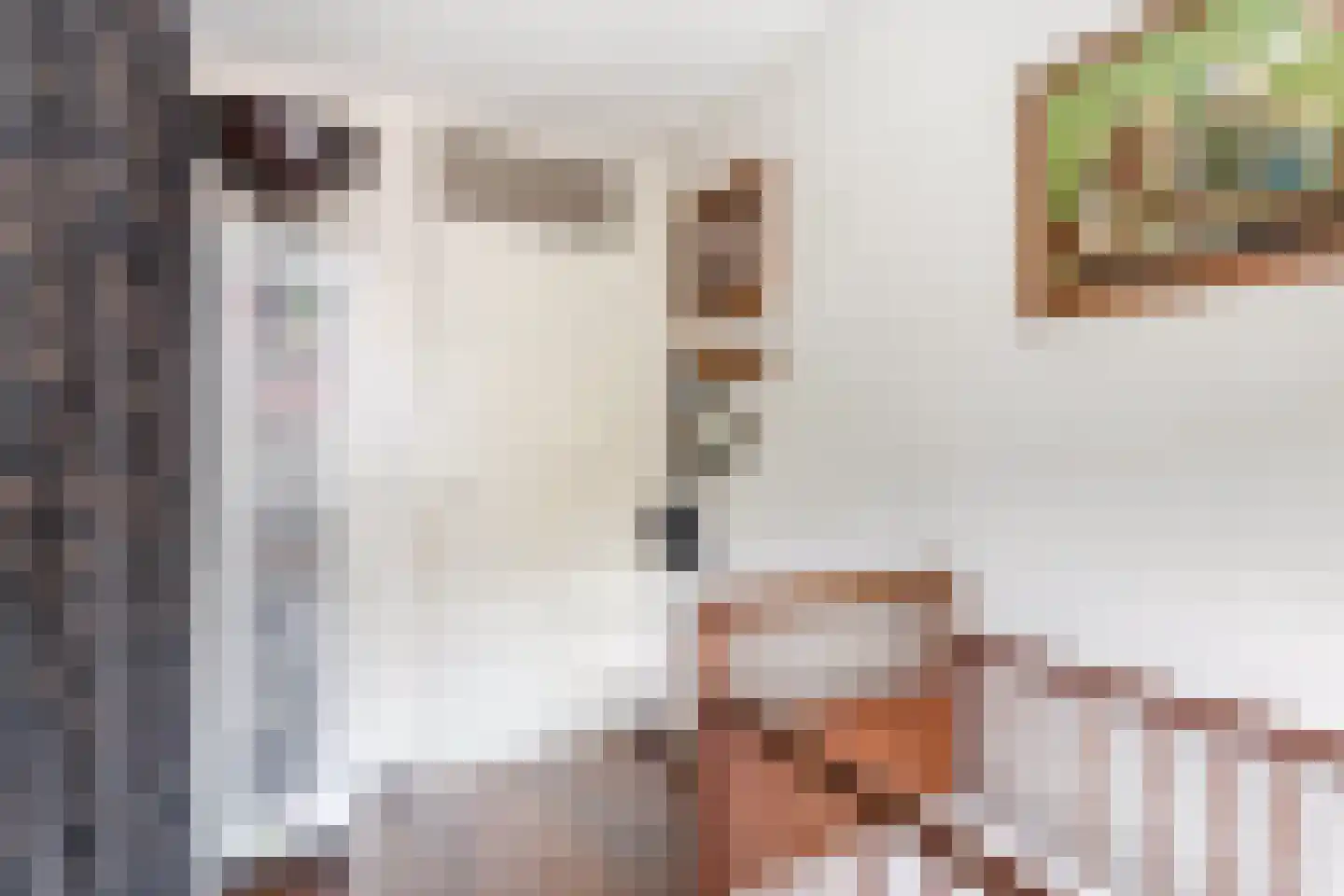 De Stoutheuvel 17 Eindhoven thumbnail 39
