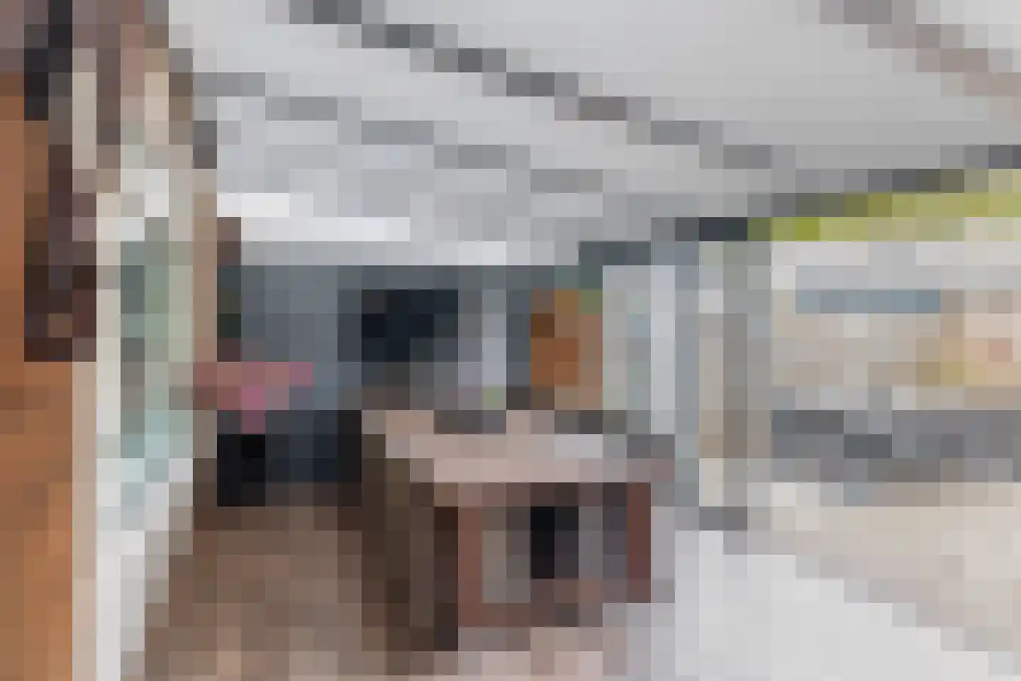 De Stoutheuvel 17 Eindhoven thumbnail 5