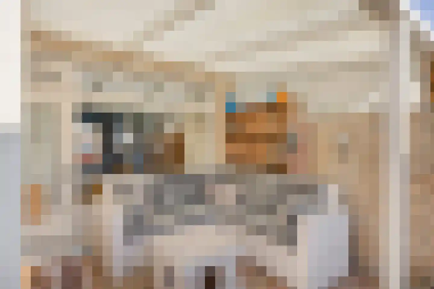 De Stoutheuvel 77 Eindhoven thumbnail 26