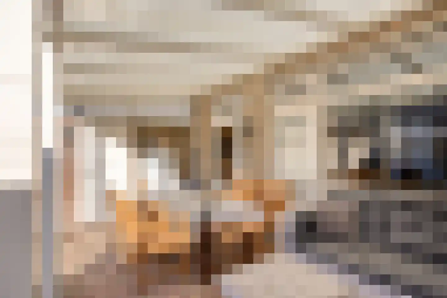 De Stoutheuvel 77 Eindhoven thumbnail 27