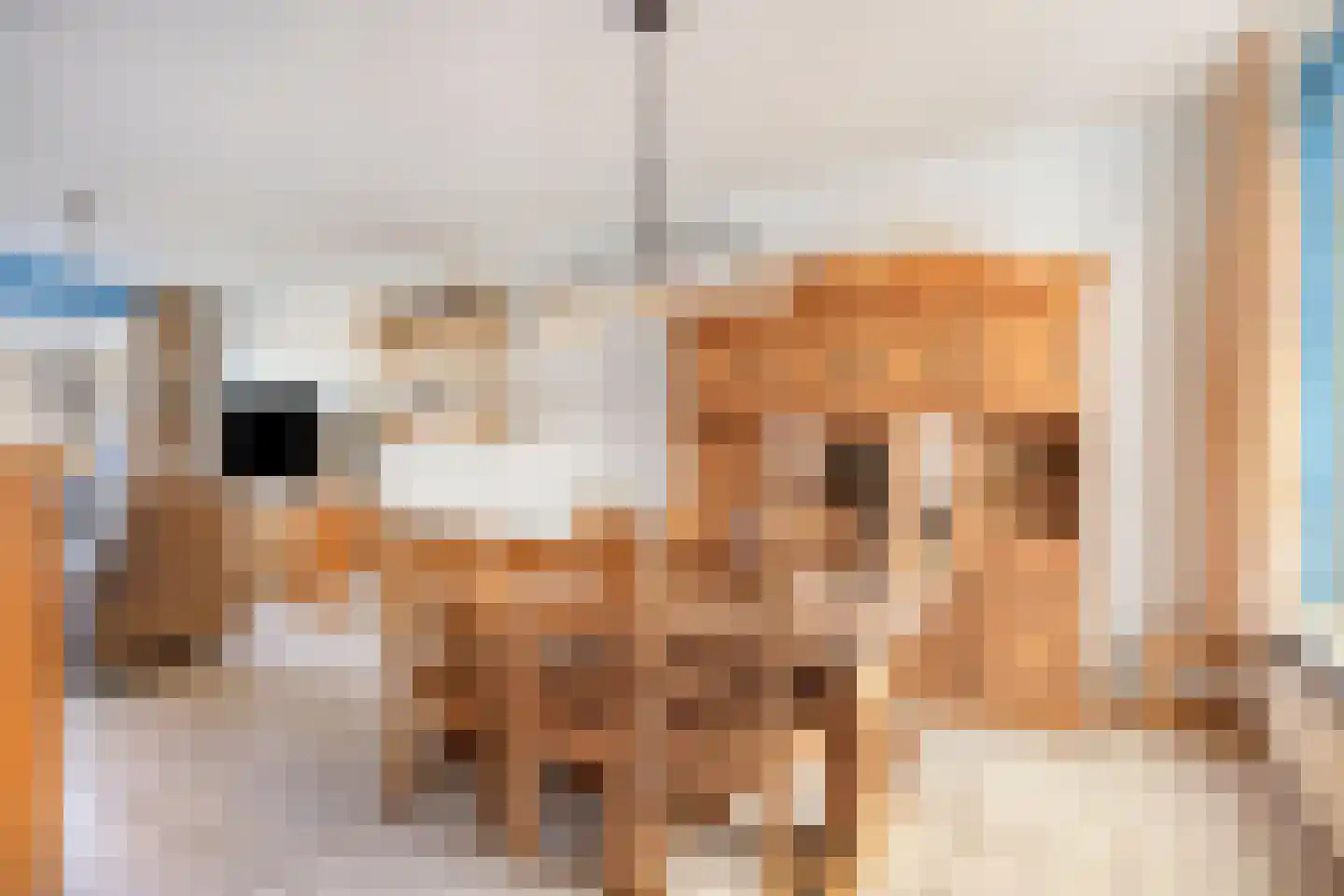 De Stoutheuvel 77 Eindhoven thumbnail 9