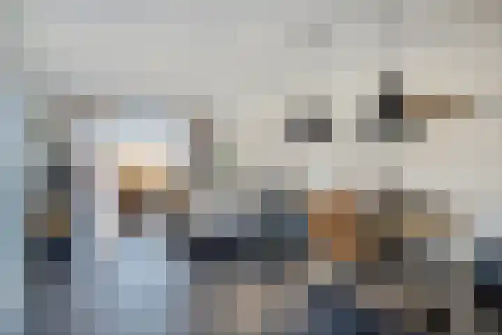 De Stove 13 Oosterland thumbnail 10