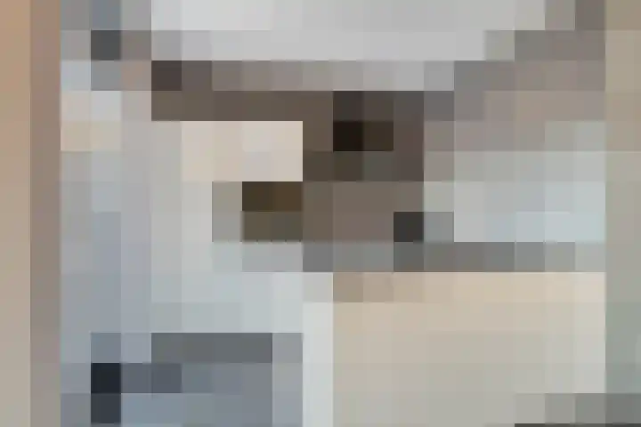 De Stove 13 Oosterland thumbnail 12