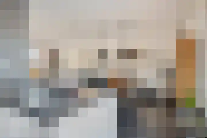 De Stove 13 Oosterland thumbnail 13