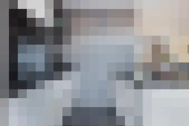 De Stove 13 Oosterland thumbnail 15