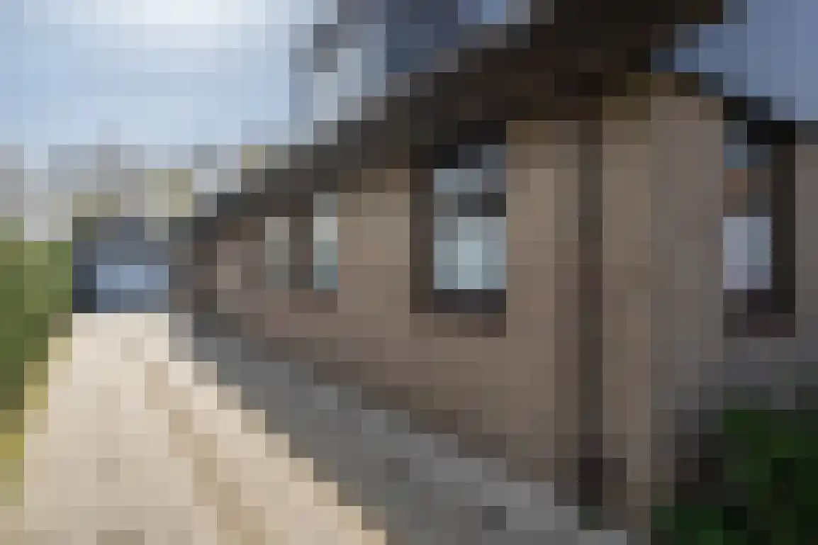 De Stove 40 Goedereede thumbnail 4