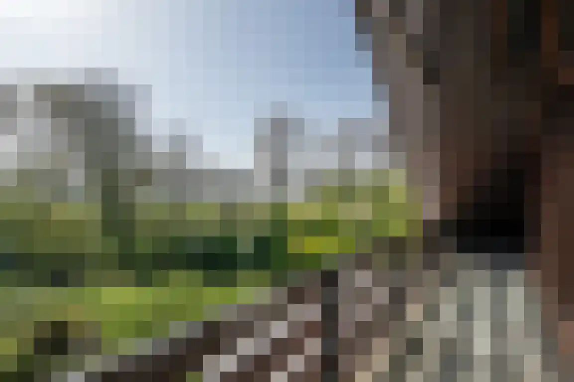 De Stove 40 Goedereede thumbnail 47