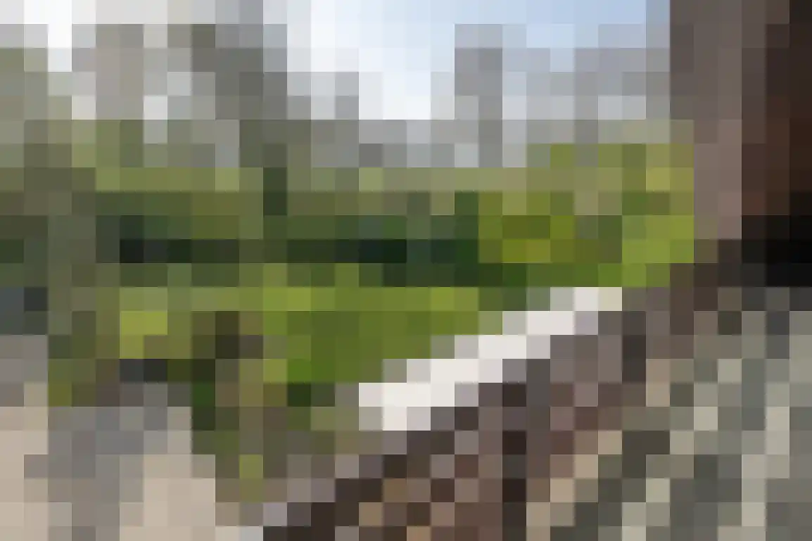De Stove 40 Goedereede thumbnail 48