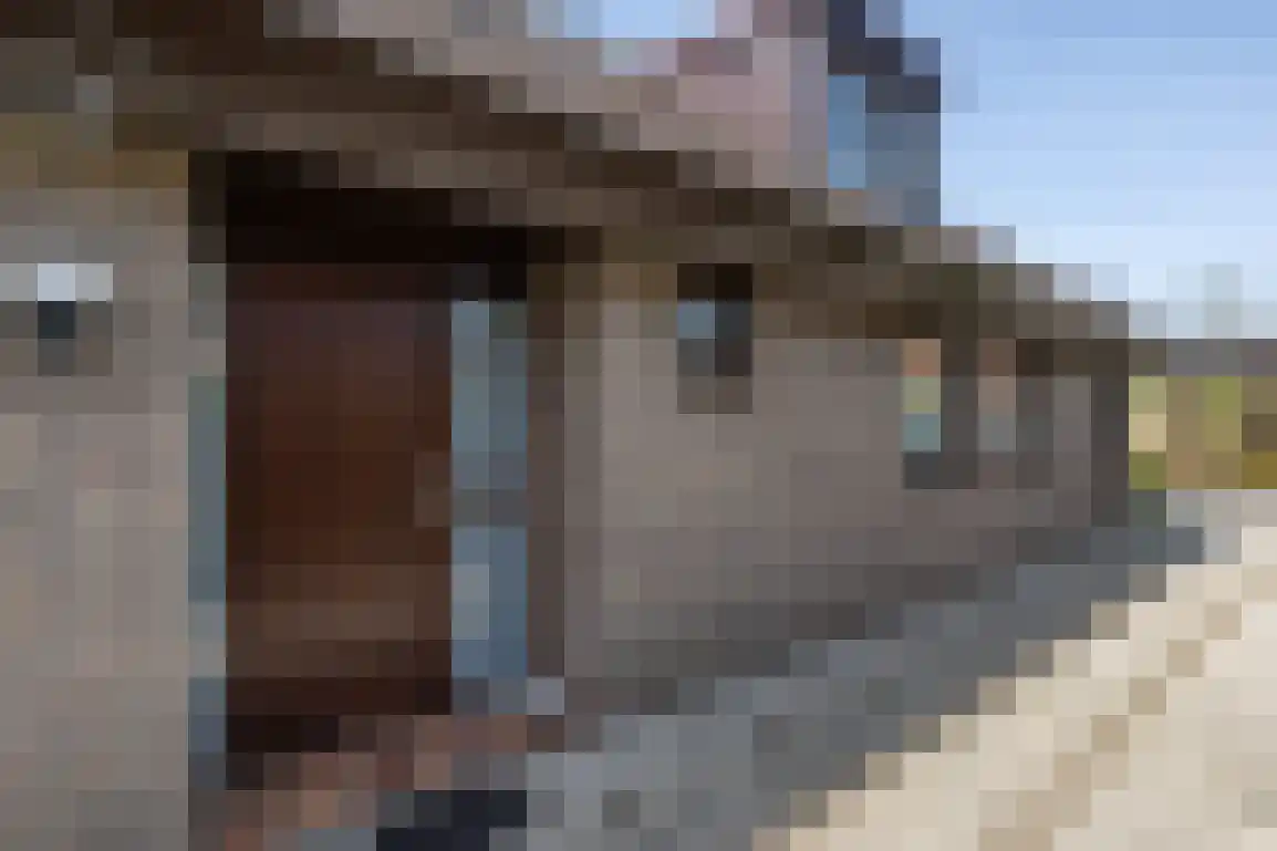 De Stove 40 Goedereede thumbnail 5