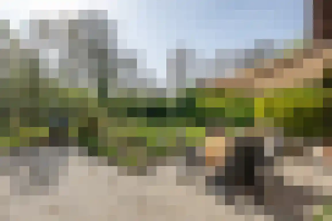 De Stove 40 Goedereede thumbnail 50