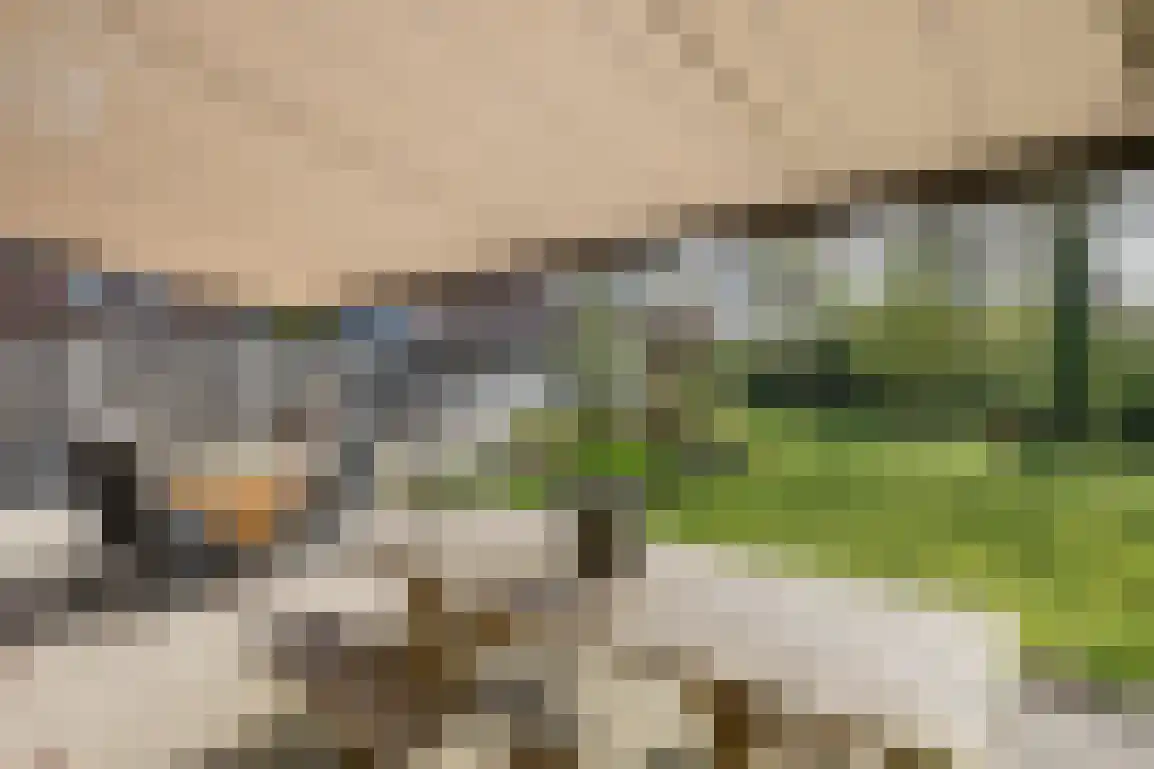 De Stove 40 Goedereede thumbnail 51