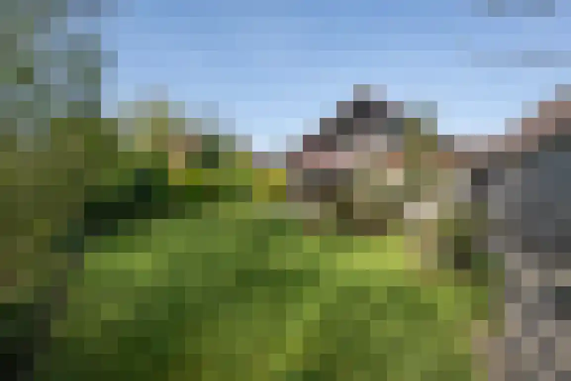 De Stove 40 Goedereede thumbnail 52