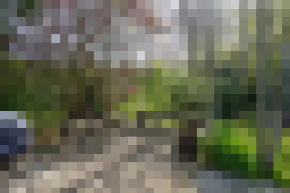 De Stove 40 Goedereede thumbnail 54