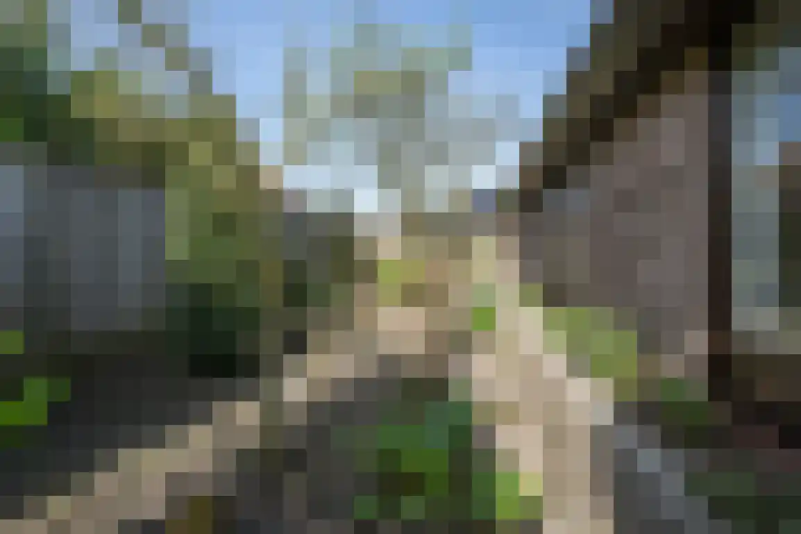 De Stove 40 Goedereede thumbnail 55