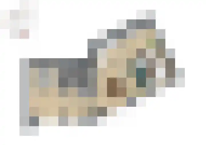 De Strandwal Uitgeest thumbnail 10