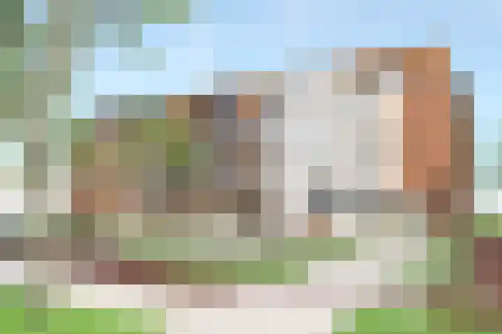 De Strandwal Uitgeest thumbnail 5