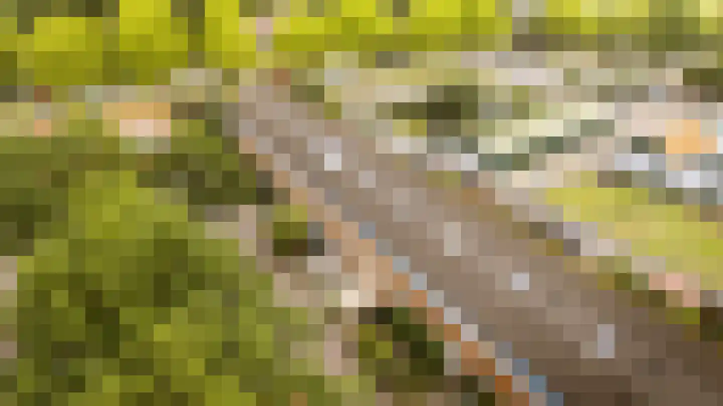 De Strang 26 Amersfoort thumbnail 32