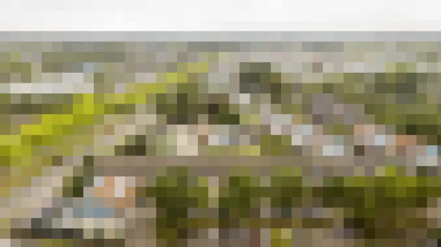 De Strang 26 Amersfoort thumbnail 33