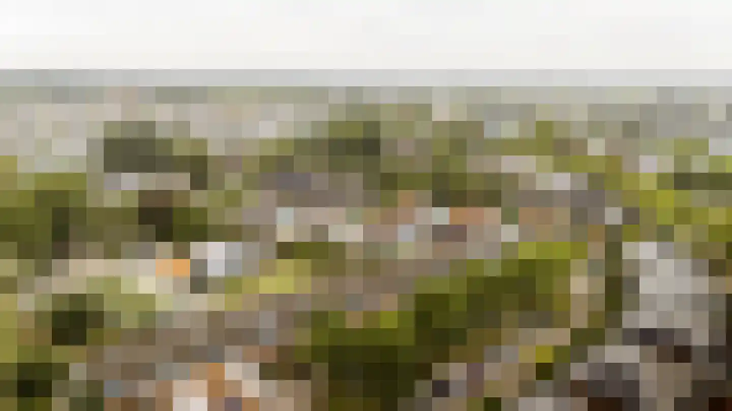 De Strang 26 Amersfoort thumbnail 34