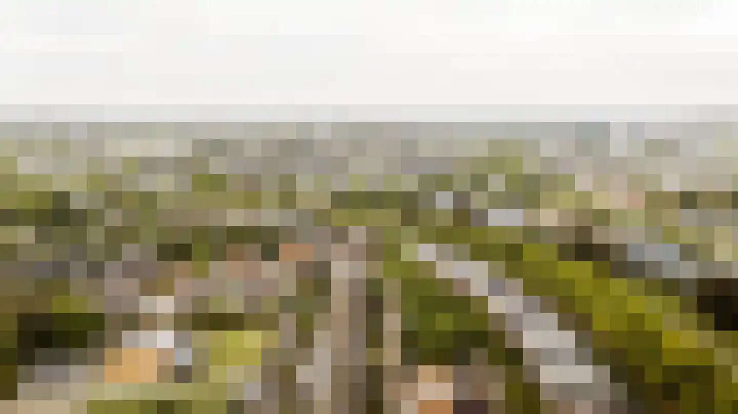 De Strang 26 Amersfoort thumbnail 35