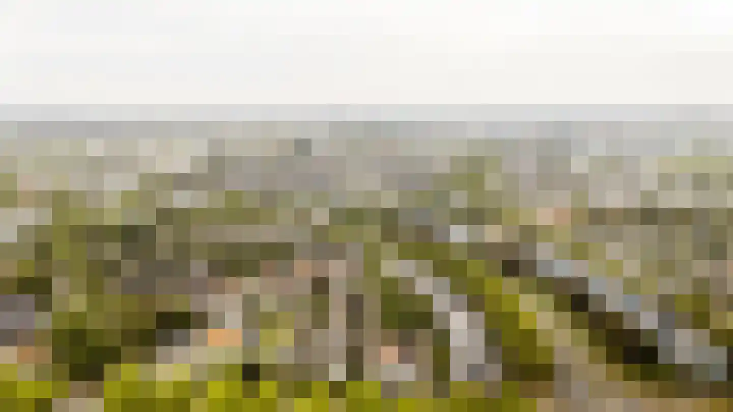 De Strang 26 Amersfoort thumbnail 36