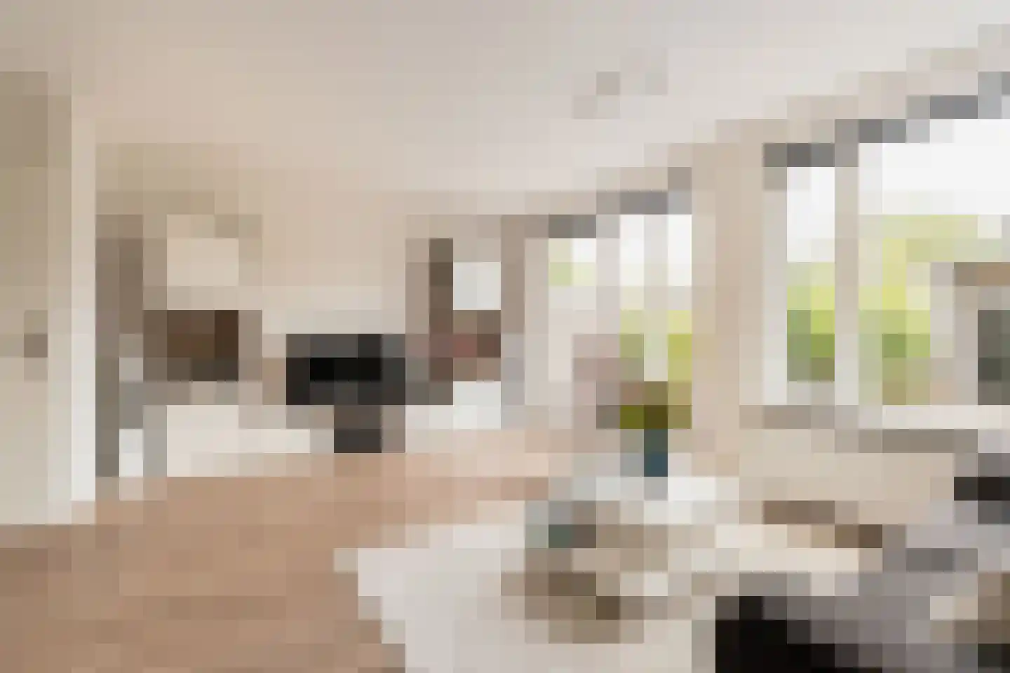 De Strang 26 Amersfoort thumbnail 4