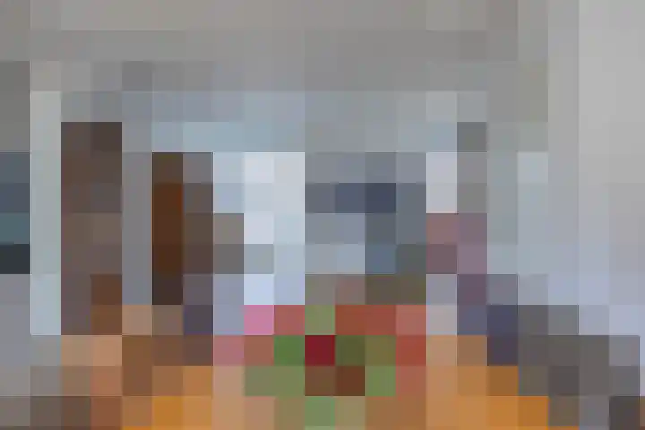 De Strânljip 21 Hurdegaryp thumbnail 11