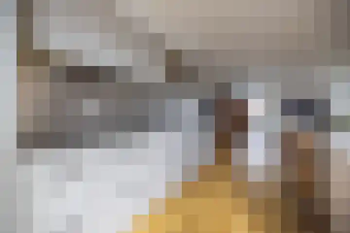 De Strânljip 21 Hurdegaryp thumbnail 12
