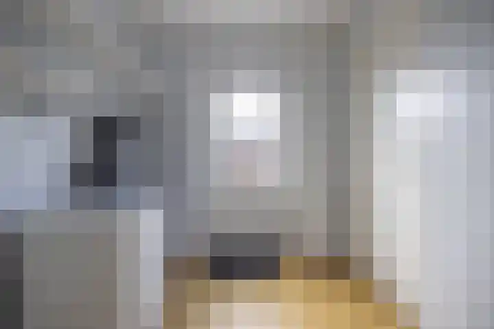 De Strânljip 21 Hurdegaryp thumbnail 17