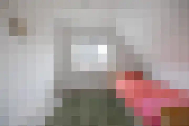 De Strânljip 21 Hurdegaryp thumbnail 26