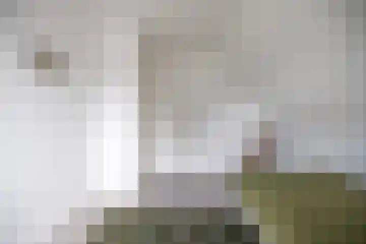 De Strânljip 21 Hurdegaryp thumbnail 30