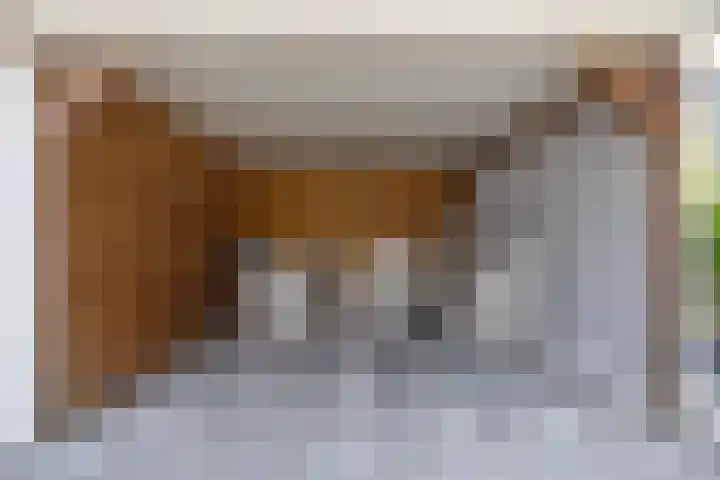 De Strânljip 21 Hurdegaryp thumbnail 37