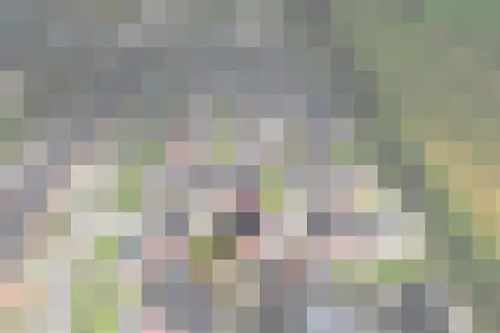 De Strânljip 21 Hurdegaryp thumbnail 4