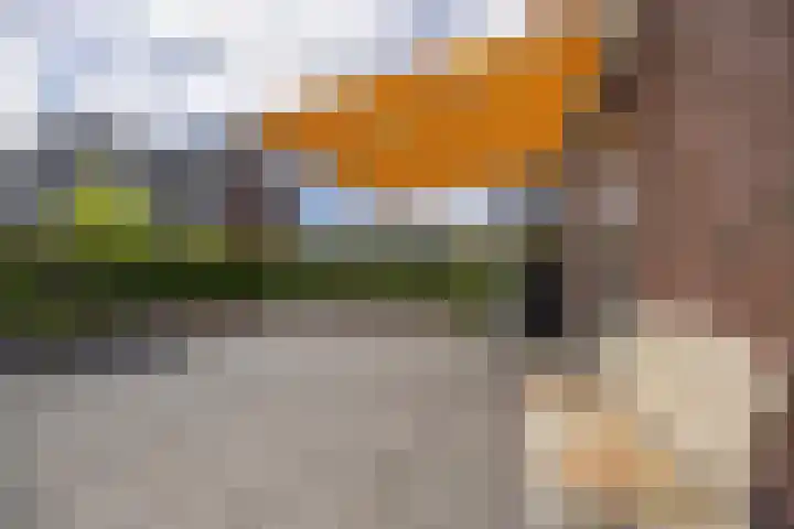 De Strânljip 21 Hurdegaryp thumbnail 41