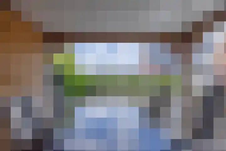 De Strânljip 21 Hurdegaryp thumbnail 42
