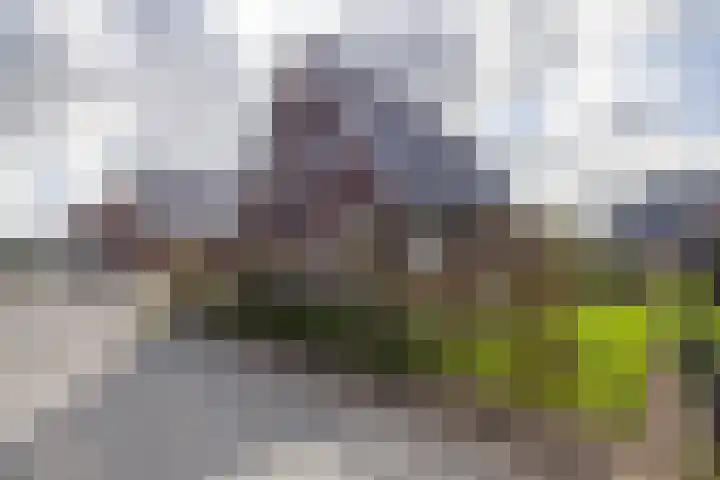 De Strânljip 21 Hurdegaryp thumbnail 49