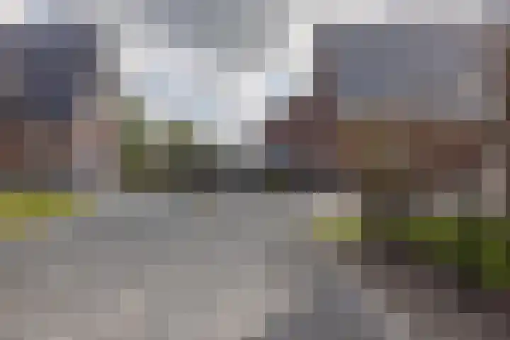 De Strânljip 21 Hurdegaryp thumbnail 50