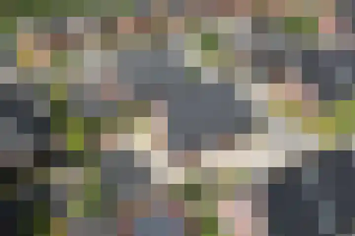 De Strânljip 21 Hurdegaryp thumbnail 54