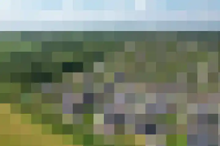 De Strânljip 21 Hurdegaryp thumbnail 55